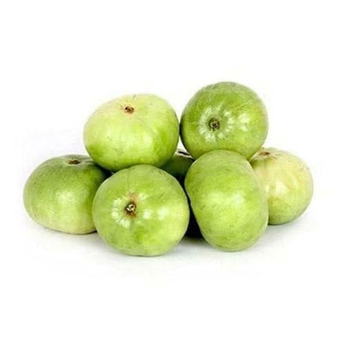 Green Tinda vegetable seeds for Home Gardening, Premium Kitchen Garden Planting Premium for kitchen garden planting