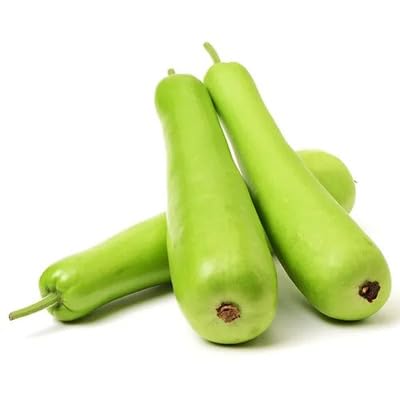 BottleGourd vegetable seeds Green vegetable seeds for Home Gardening, Organic Raised Bed Gardening for kitchen garden planting