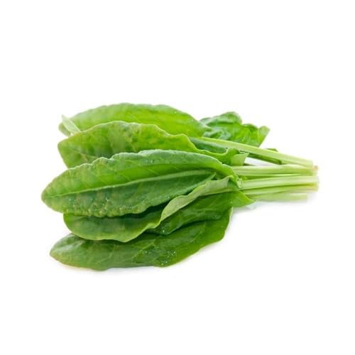 Spinach vegetable seeds for Home Gardening, Natural Farm Fresh Gardening Choice Premium for kitchen garden planting