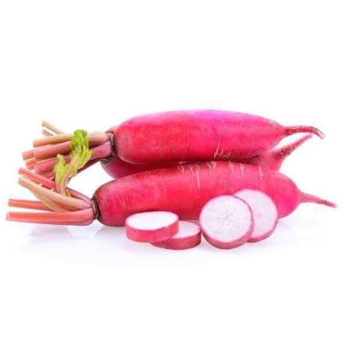 Pink Radish vegetable seeds for Home Gardening, Natural Farm Fresh Gardening Choice for kitchen garden planting