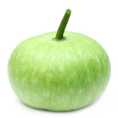 Green Corsican Gourd vegetable seeds for Home Gardening, Heirloom, Non-GMO, High for kitchen garden planting