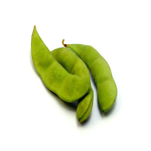 Soyabeans Green vegetable seeds for Home Gardening, Heirloom, Non-GMO, High Germination for kitchen garden planting