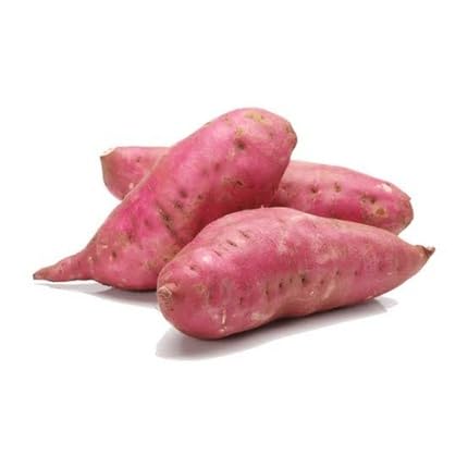 Red Sweet Potato vegetable seeds for Home Gardening, Easy Grow Culinary Garden Selection for kitchen garden planting