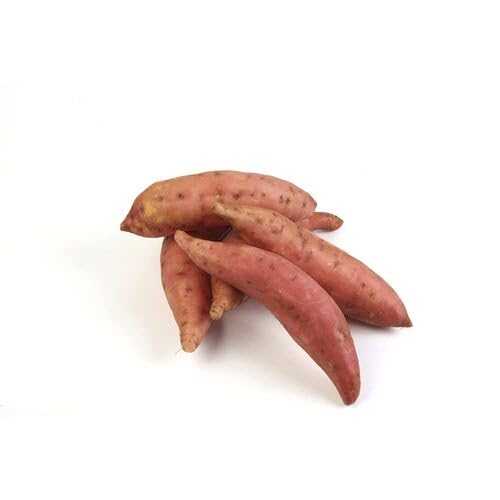 sweet potato , vegetable seeds