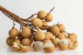 longan fruit grow exotic trees for sweet juicy fruits Fruit seeds