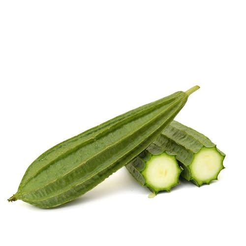 Green Ridge Gourd vegetable seeds - Heirloom, Organic, Non Gmo Garden Seeds for kitchen garden planting