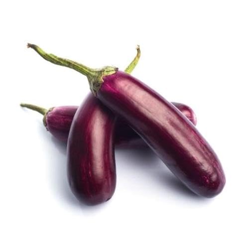 Purple Brinjal vegetable seeds for Home Gardening, Premium Kitchen Garden Planting for kitchen garden planting