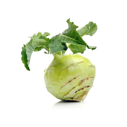 Green Kohlrabi vegetable seeds - Heirloom, Organic, Non Gmo Garden Seeds for kitchen garden planting