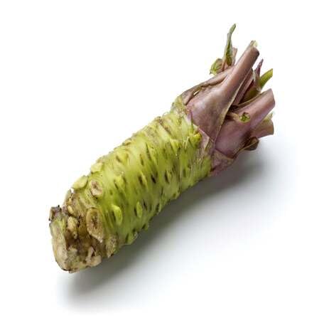 green wasabi vegetable seeds