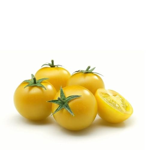 yellow tomato vegetable seeds