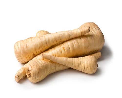 white parsnip . vegetable seeds