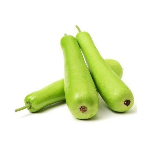 Green BottelGourd vegetable seeds for Home Gardening, Nutritious Backyard Harvest for kitchen garden planting