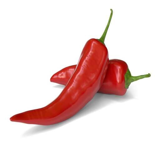Red Chile Pepper vegetable seeds - Heirloom, Organic, Non Gmo Garden Seeds for kitchen garden planting