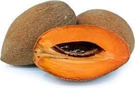 mamey fruit for planting non gmo heirloom tropical garden Fruit seeds
