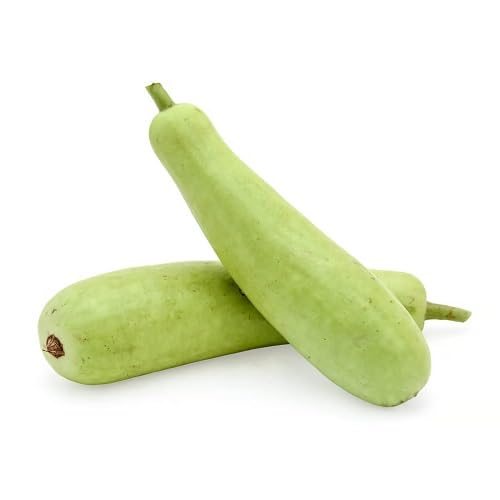 Bottel Gourd vegetable seeds for Home Gardening, Fast Growing Home Garden Variety Premium for kitchen garden planting
