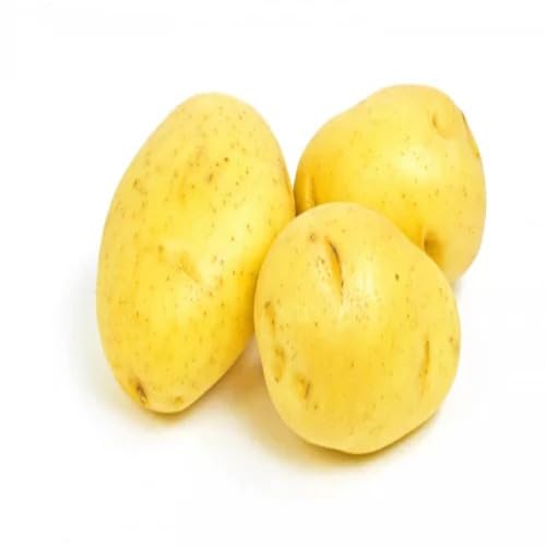 Yellow Potato vegetable seeds - Heirloom, Organic, Non Gmo Garden Seeds for kitchen garden planting