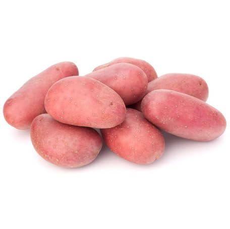 pink potato vegetable seeds