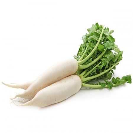 White Raddish Vegetables Seeds vegetable seeds - Heirloom, Organic, Non Gmo Garden Seeds for kitchen garden planting