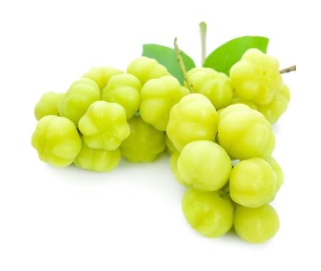 Green Grosella Fruit Seeds