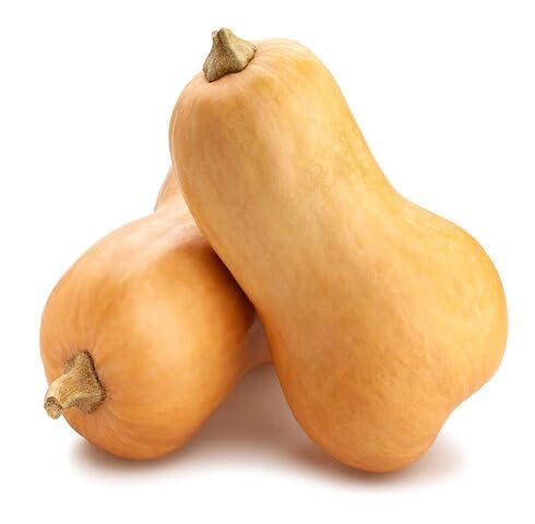 Orange Cucurbita moschata vegetable seeds for Home Gardening, Premium Kitchen Garden for kitchen garden planting