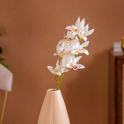 Orchis Flower Seeds