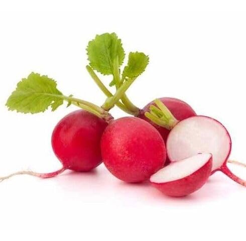 red Radish vegetable seeds for Home Gardening, Heirloom, Non-GMO, High Germination Organic for kitchen garden planting