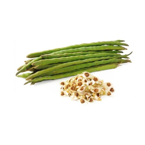 drumstick vegetable seeds for Home Gardening, Healthy Seasonal Vegetable Planting Premium for kitchen garden planting