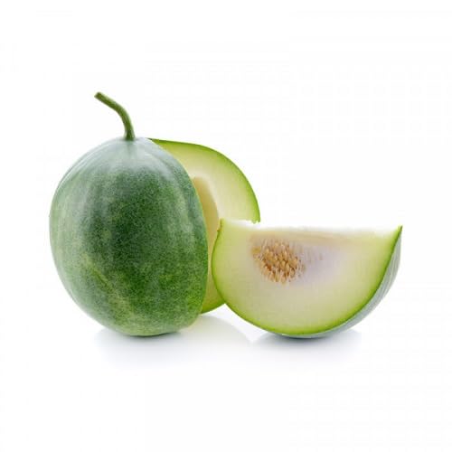 gem Squash Seeds,Green vegetable seeds for Home Gardening, Easy Grow Culinary Garden for kitchen garden planting