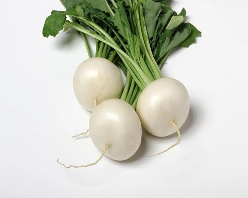 White Turnip vegetable seeds - Heirloom, Organic, Non Gmo Garden Seeds for kitchen garden planting