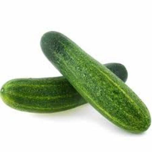 Green Cucumber Vegetables Seeds vegetable seeds - Heirloom, Organic, Non Gmo Garden Seeds for kitchen garden planting