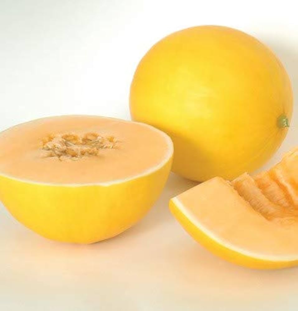 Yellow Honeydew Melon Fruit Seeds