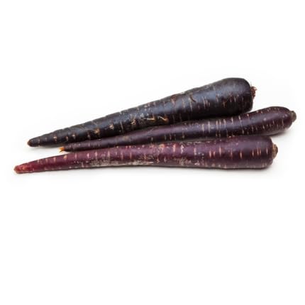 Black Carrot vegetable seeds for Home Gardening, Organic Raised Bed Garden Favorite for kitchen garden planting