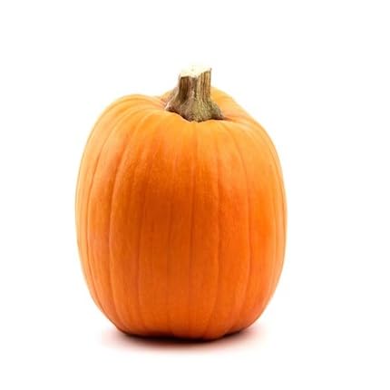 Pumpkin vegetable seeds for Home Gardening, Easy Grow Culinary Garden Selection Premium for kitchen garden planting