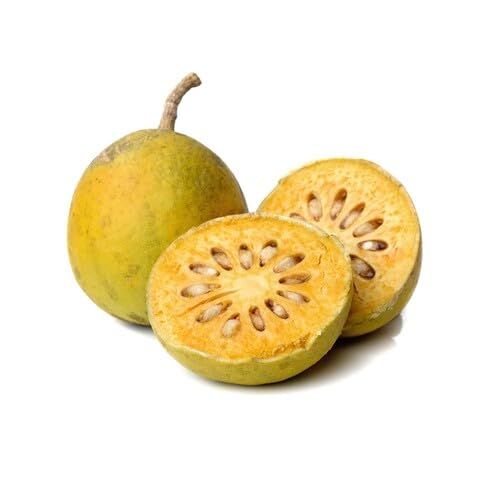 Green Bael Fruit Seeds Non GMO Seeds for Home Orchard