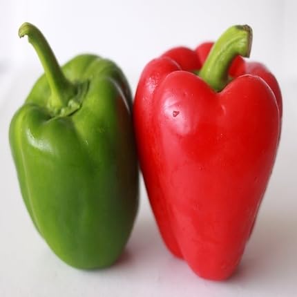 Red Green Pepper vegetable seeds for Home Gardening, Premium Kitchen Garden Planting for kitchen garden planting