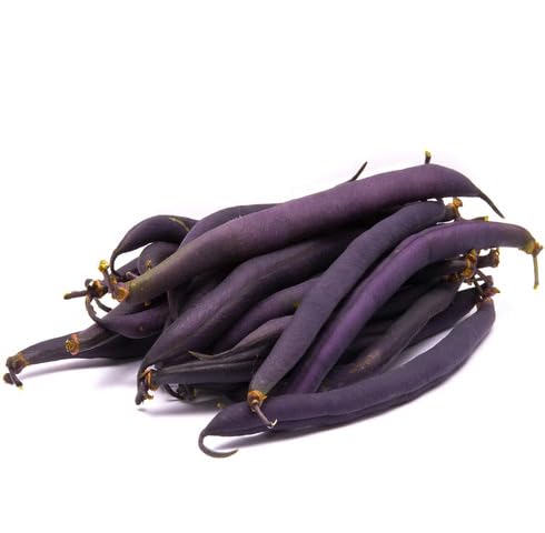 Purple Beans vegetable seeds vegetable seeds for Home Gardening, Premium Kitchen Garden Collection for kitchen garden planting