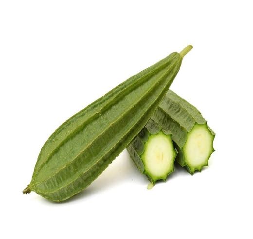 green ridge gourd vegetable seeds