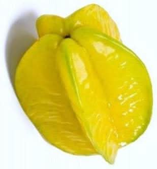 yellow carambola fruit tropical starfruit trees for your yard Fruit seeds