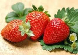 Strawberry Home For Kitchen Sowing Fruit Seeds