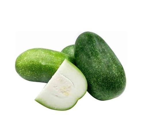 Green AshGourd vegetable seeds vegetable seeds for Home Gardening, Heirloom, Non-GMO, High for kitchen garden planting