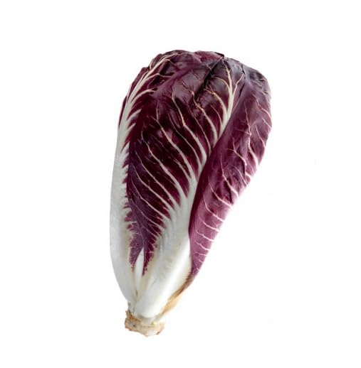 Purple Endives vegetable seeds - Heirloom, Organic, Non Gmo Garden Seeds for kitchen garden planting
