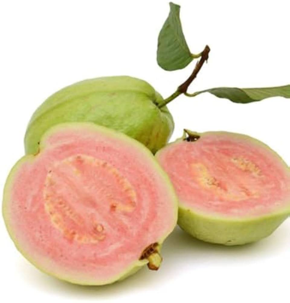 Guava Fruit Tropical Guavas Full Of Flavor For Kitchen Fruit Seeds