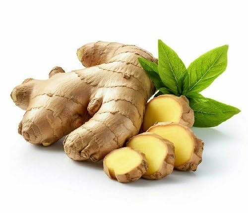 Ginger Vegetable Seeds Heirloom, Non-GMO for Home Garden Planting