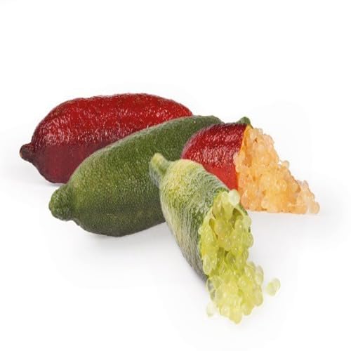Finger Lime Fruit fruit seeds for organic garden planting