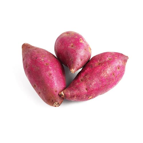Pink Sweet Potato Pink vegetable seeds for Home Gardening, Nutritious Backyard Harvest for kitchen garden planting