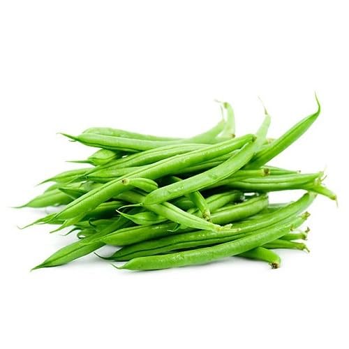 Bean vegetable seeds Green vegetable seeds for Home Gardening, Organic Raised Bed Gardening for kitchen garden planting