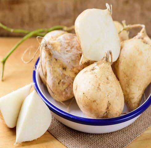 White jicama vegetable seeds for Home Gardening, Organic Raised Bed Garden Favorite for kitchen garden planting