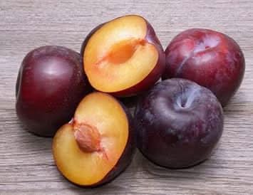 burgundy alubukhara plum fruit for planting sweet tangy plums in color gmo free Fruit seeds