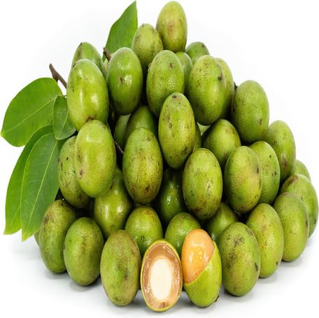 Green Mamoncillo fruit seeds for organic garden planting