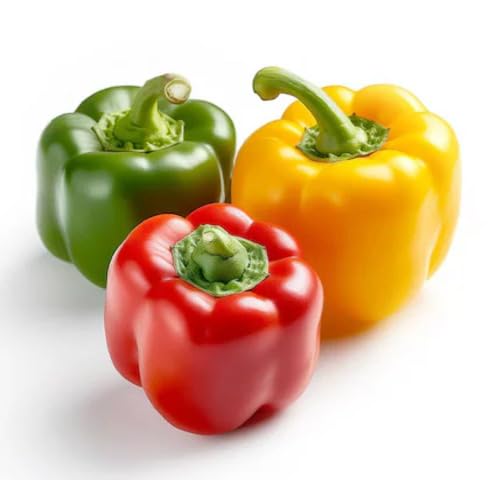 Mix Capsicum vegetable seeds for Home Gardening, Nutritious Backyard Harvest Collection for kitchen garden planting